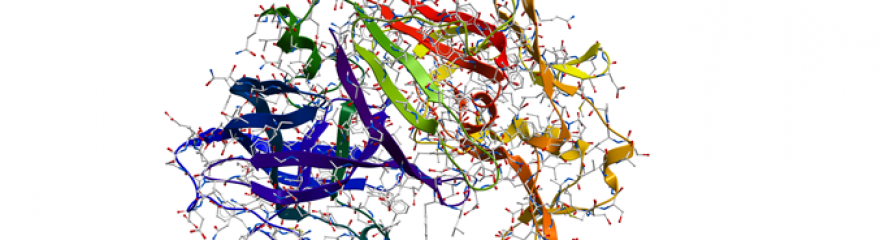 Enzyme für die NA Biochemie